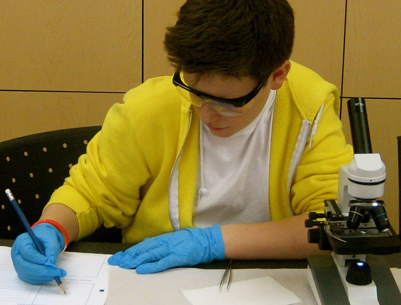 science class experiment